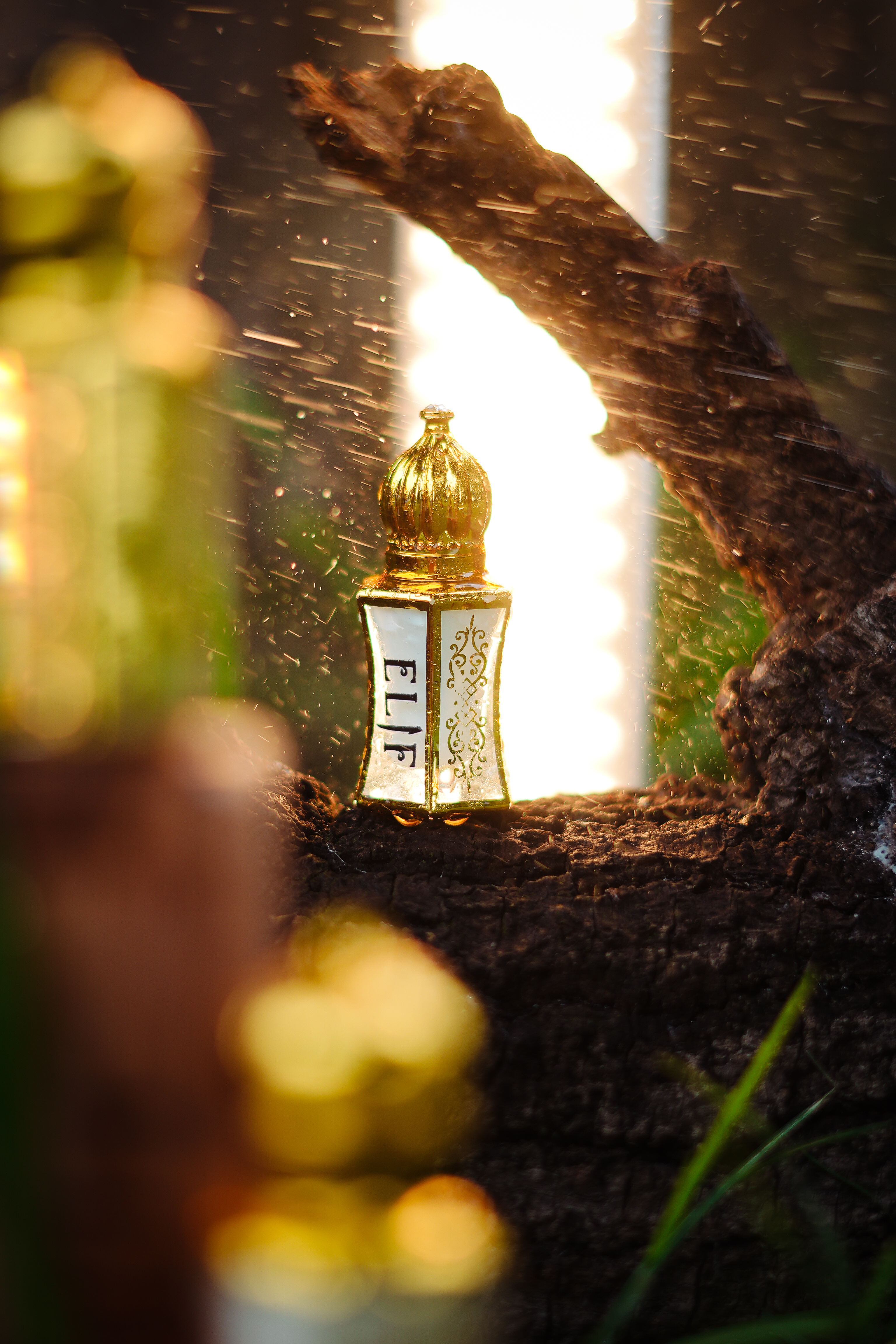 Elif attar graphic 4